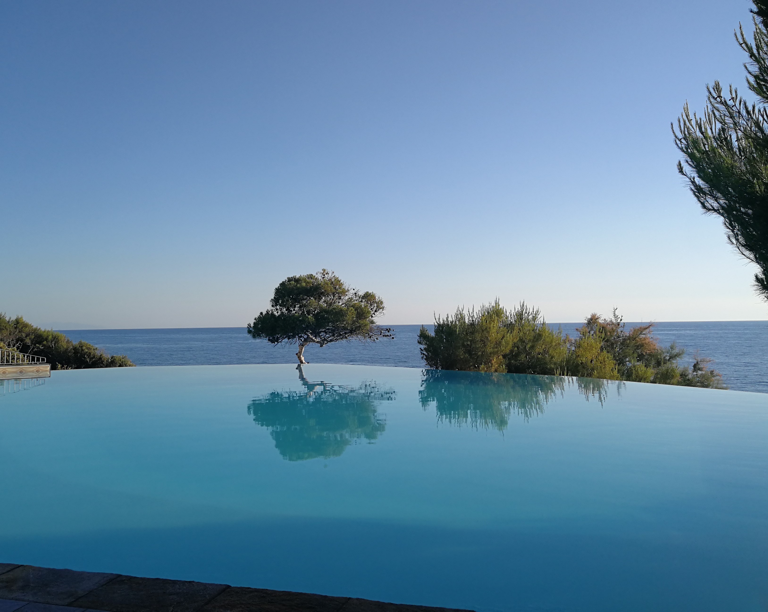 Piscina con pino e sfondo il mare.