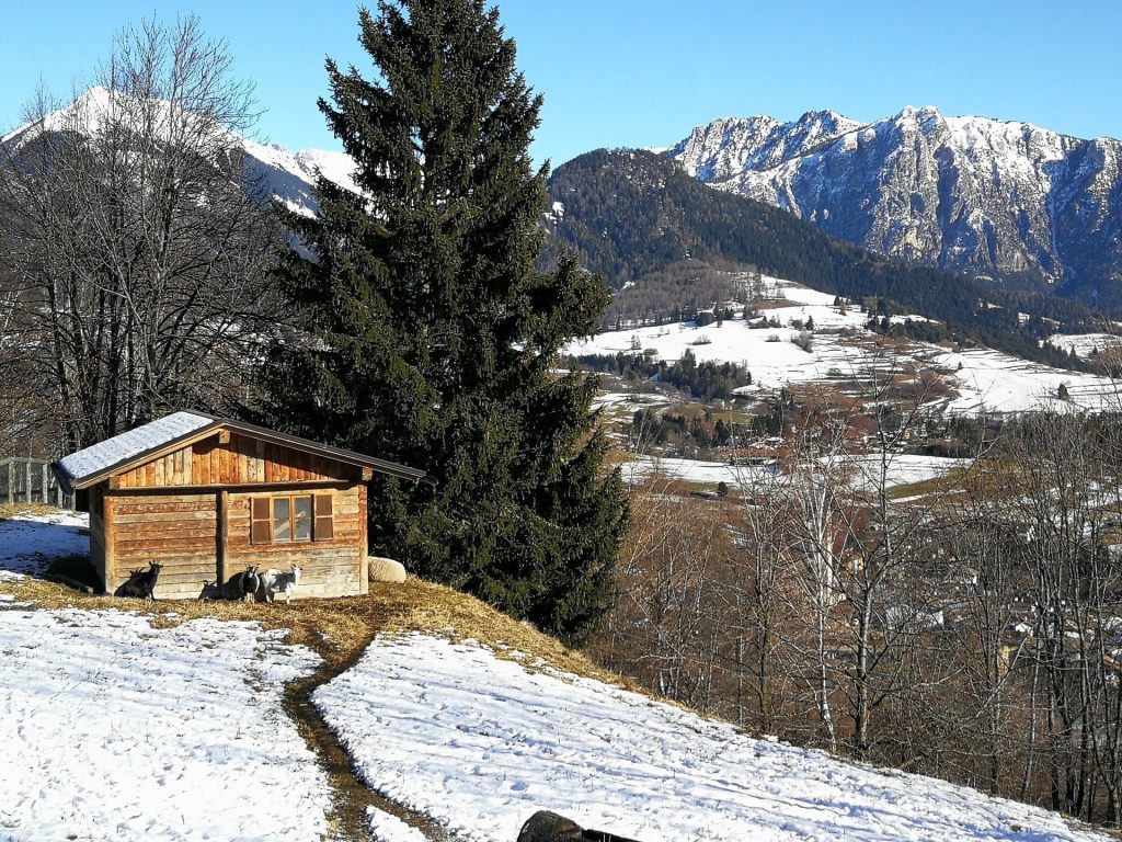 Stalla con veduta dal Villaggio Veronza.
