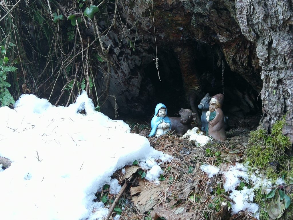 Presepi nel bosco di Zanolin.
