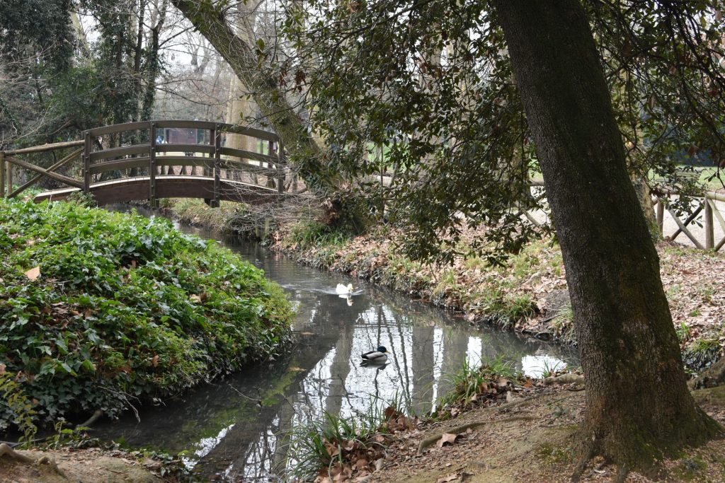Parco con un fiumiciattolo e un ponticello di legno.