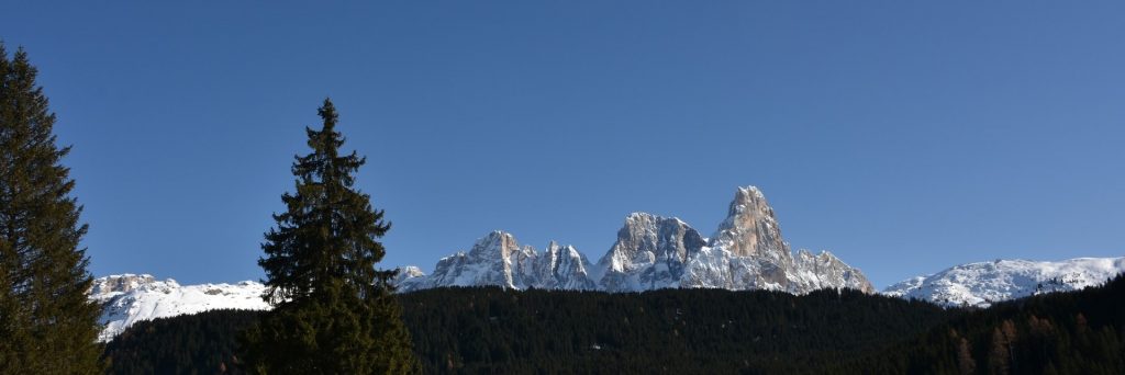 Cime di montagna innevate con boschi e abeti in primo piano.