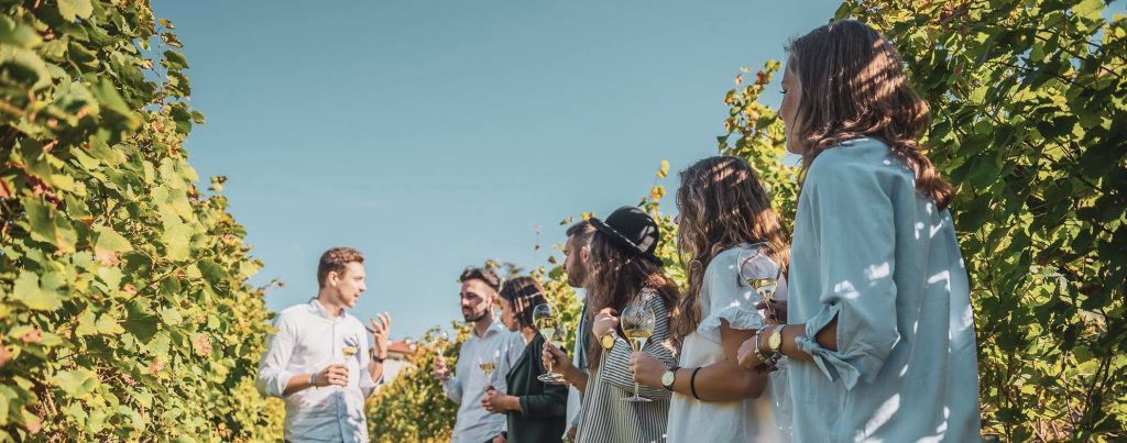 Gruppo di ragazzi durante una degustazione in un vigneto.