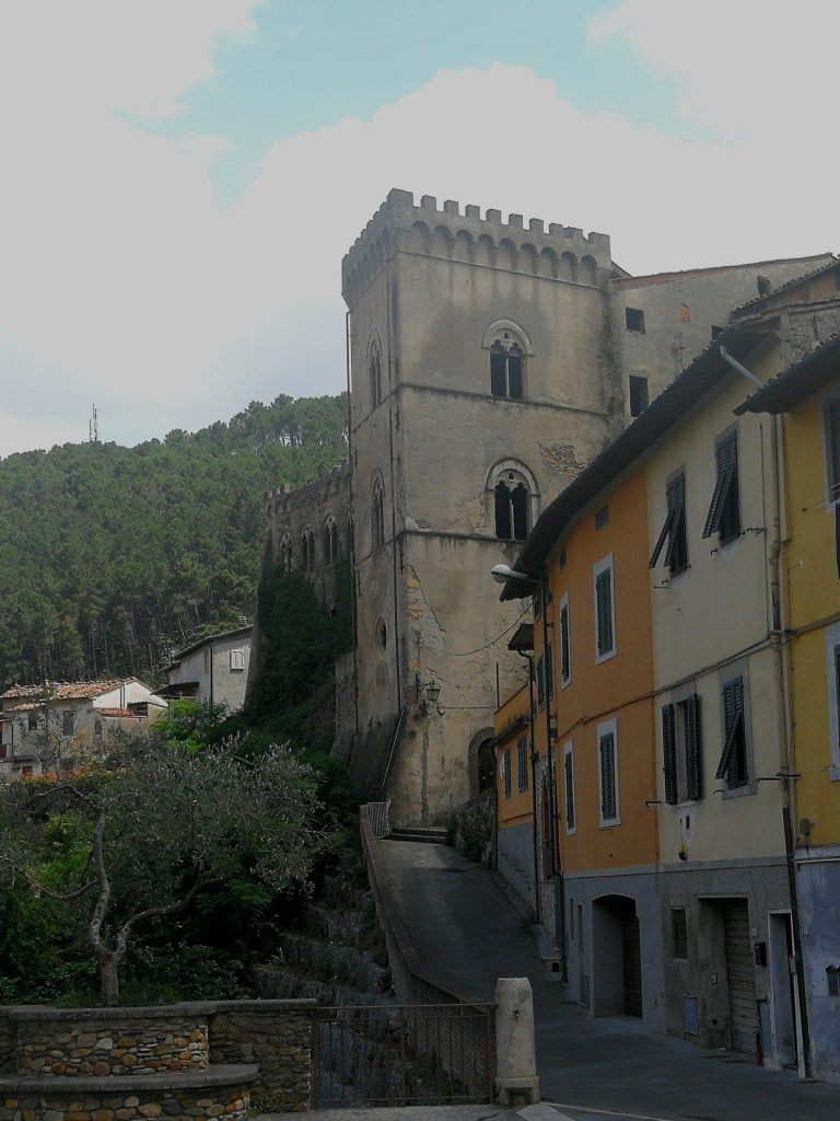 Castello neogotico, alcune case colorate e bosco su collina.