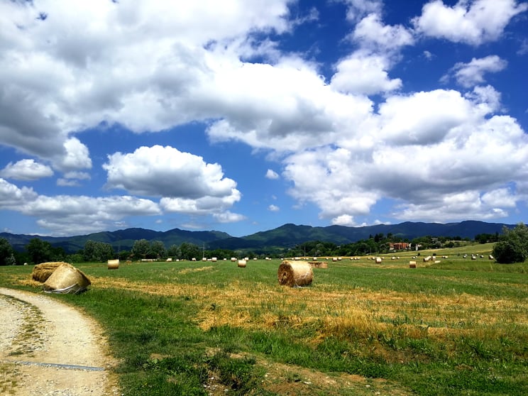 Covoni di fieno in un campo ancora verde e giallo, nuvole su un cielo azzurro.