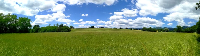Campi verdi, alcuni alberi e cielo nuvoloso.