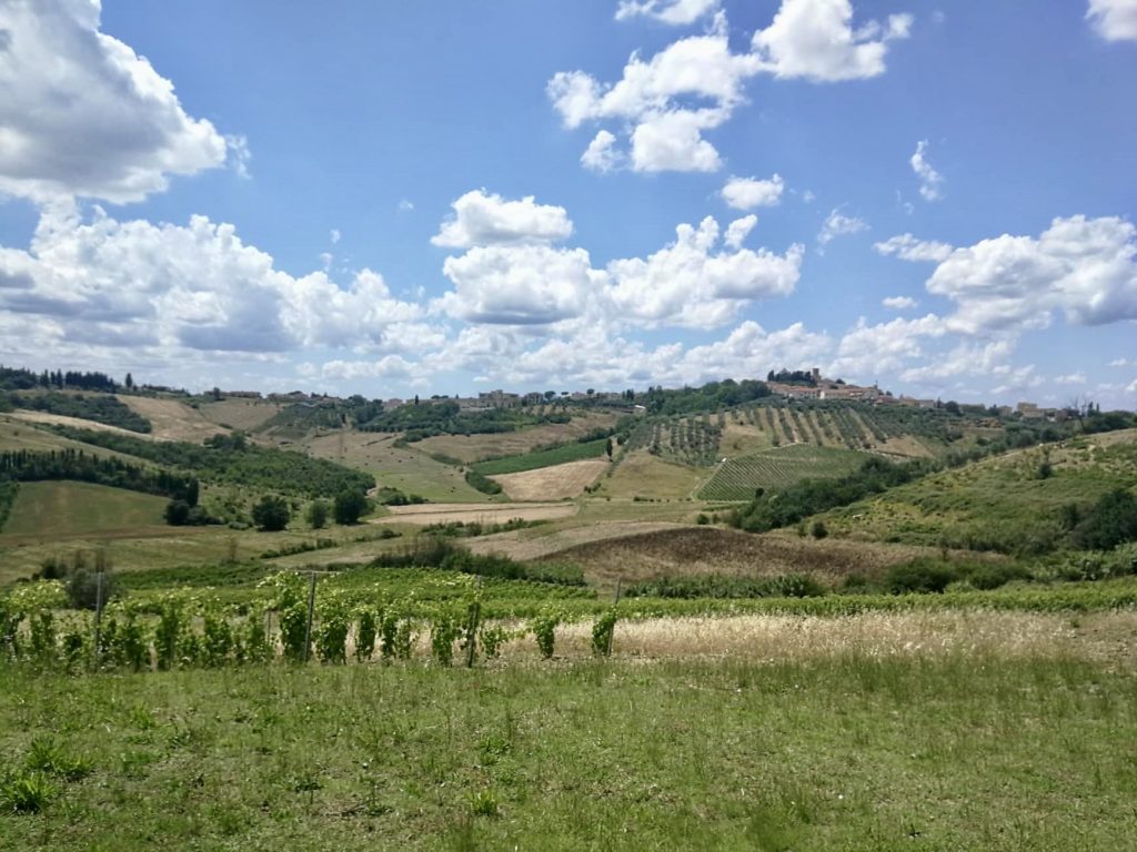 Campagna con campi coltivati.