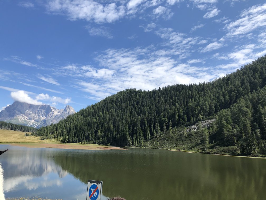 Lago con boschi e prati e sullo sfondo montagne rocciose.