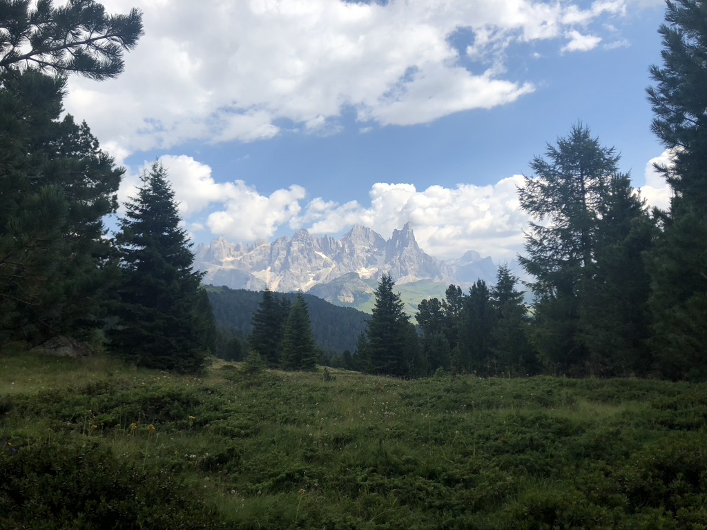 Pale di San Martino con alberi abeti e prati.