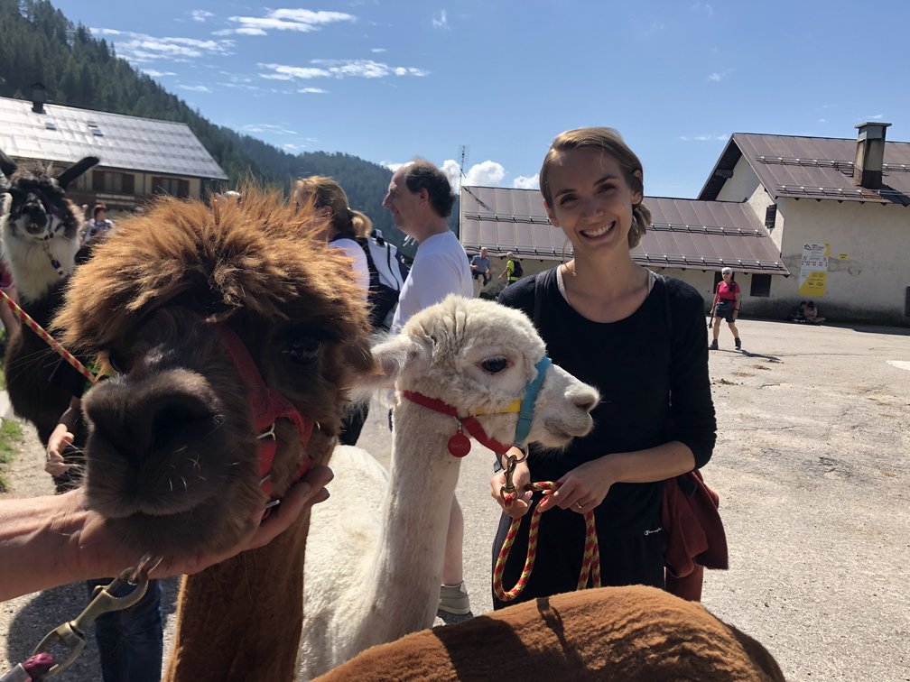 Federica con due alpaca, uno bianco e uno marrone; sullo sfondo altre persone e lama, boschi.
