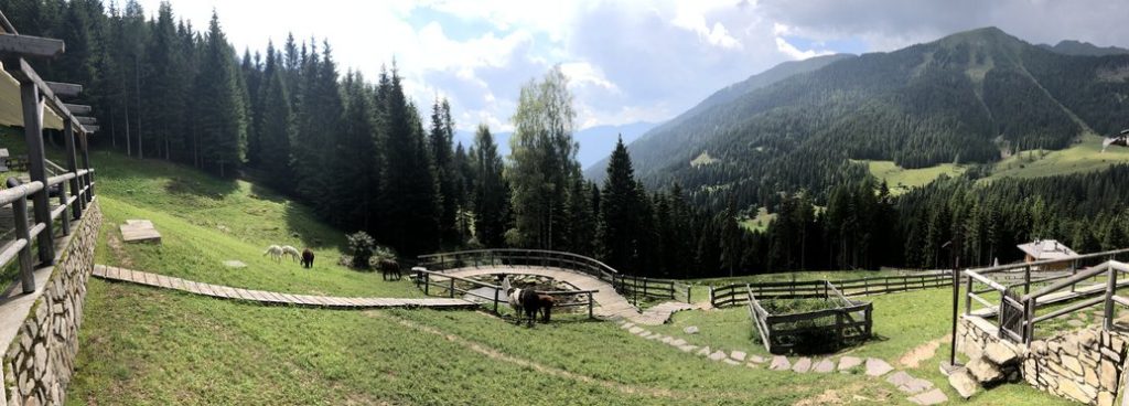 Prati e staccionate; bosco e montagna sullo sfondo.