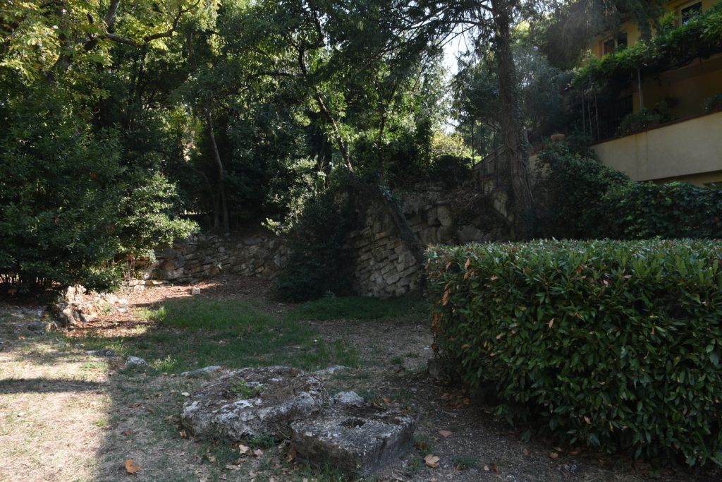 Pietre e sassi in un prato, alberi e una siepe.
