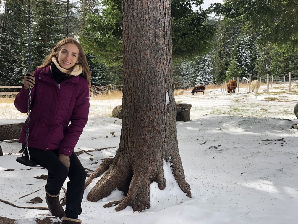 Federica su un'altalena con alberi, prato innevato e animali sullo sfondo.