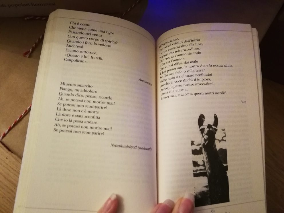 Interno del libro Il cervo e l'arcobaleno, con alcuni canti e l'immagine di un lama in bianco e nero.