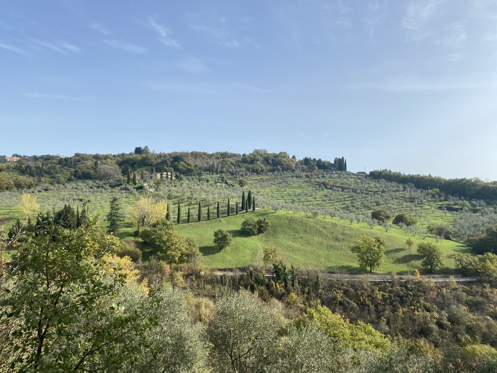 Cercina: collina soleggiata con prati, cipressi e ulivi.