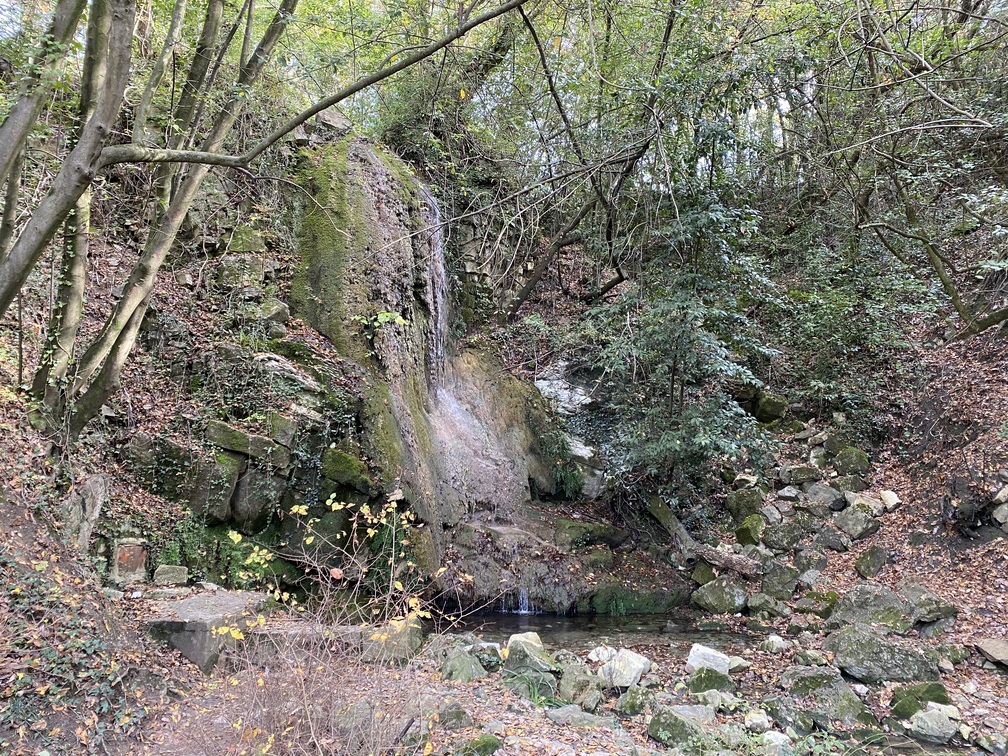 Cascata e laghetto in un bosco autunnale; arbusti e tronchi di albero.