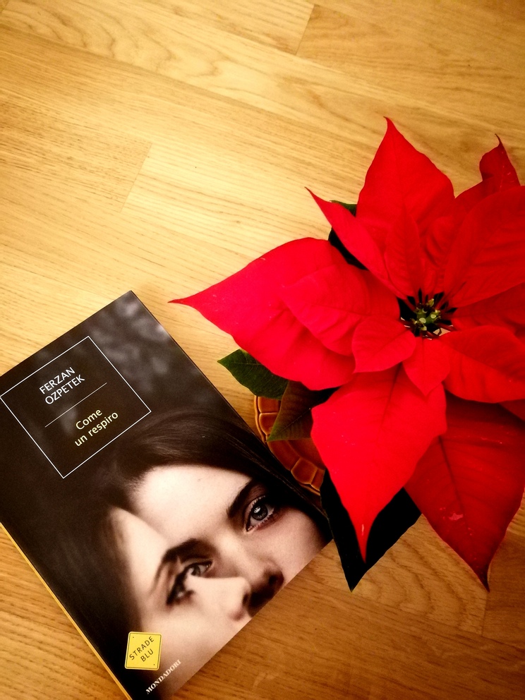 Libro "Come un respiro" vicino ad una piccola stella di natale su pavimento in legno.