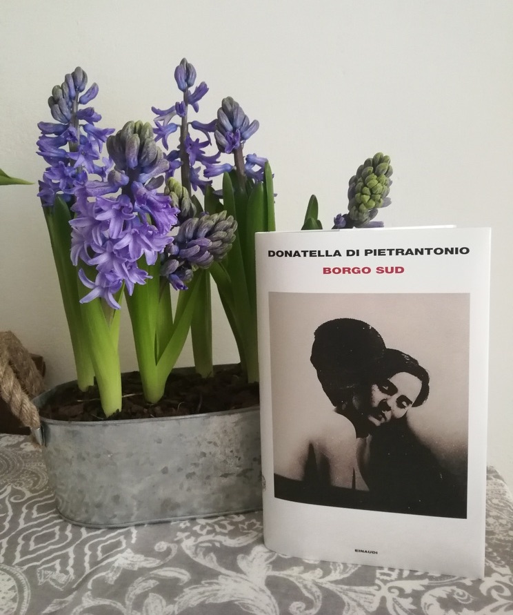 Borgo sud: copertina con vaso con giaginti in fiore.