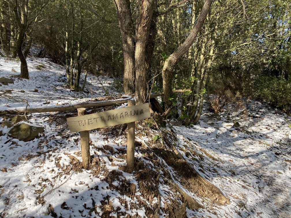 Cartello con scritto Pietramarina e indicante un sentiero nel bosco.