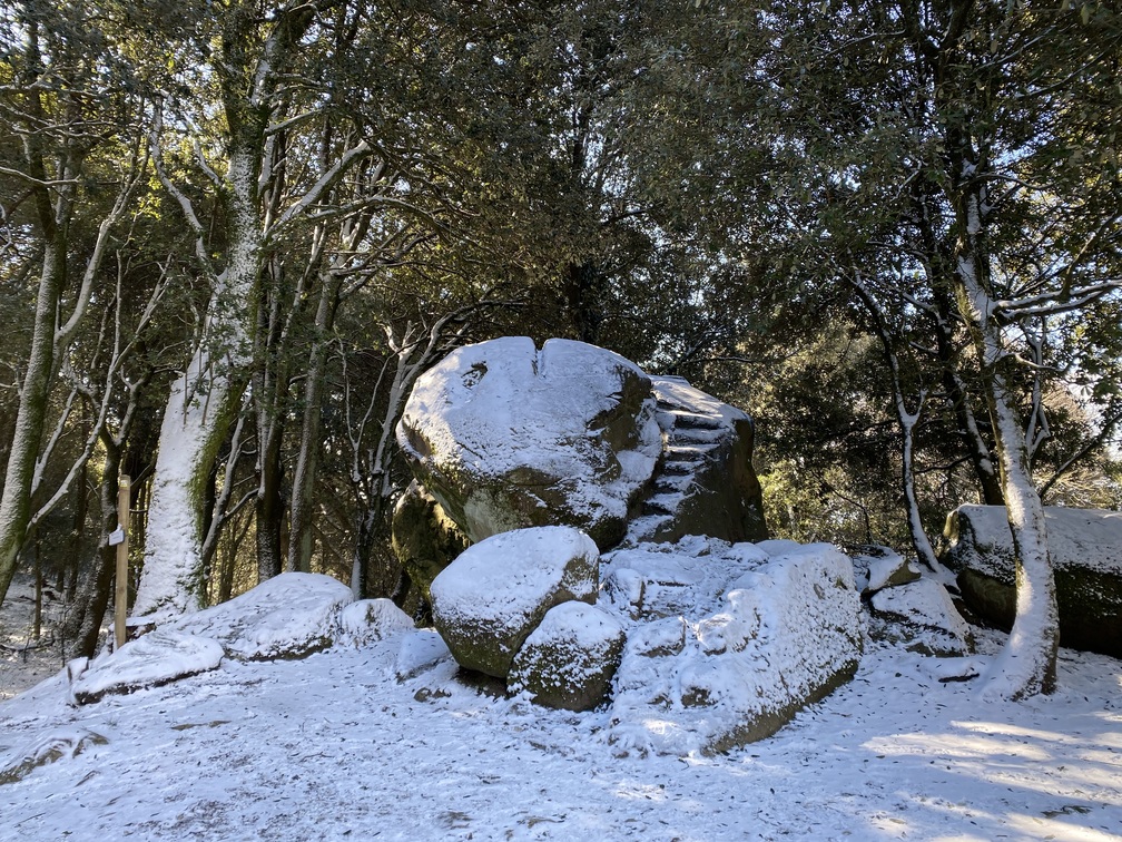 Masso del Diavolo o Masso di Pietramarina, innevato, in mezzo alla lecceta.