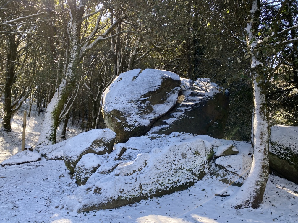 Masso del Diavolo o Masso di Pietramarina, innevato, in mezzo alla lecceta.