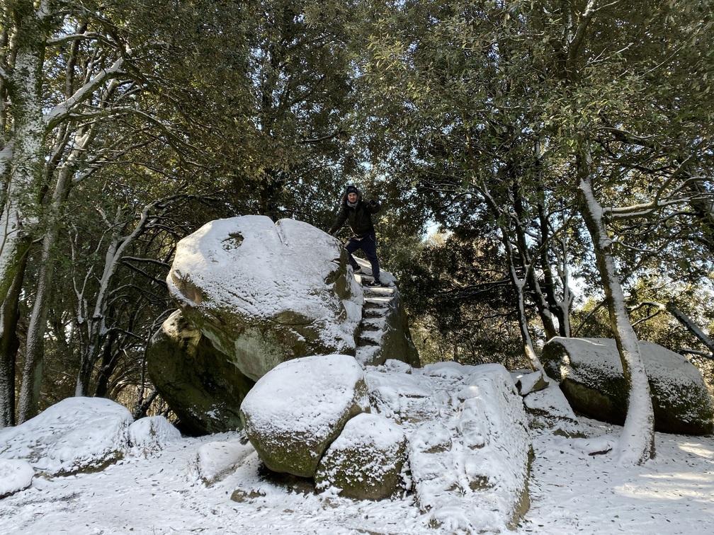 Masso del Diavolo o Masso di Pietramarina, innevato, in mezzo alla lecceta.