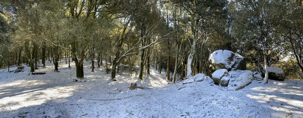 Masso del Diavolo - bosco innevato, lecci, sole che filtra tra le fronde.