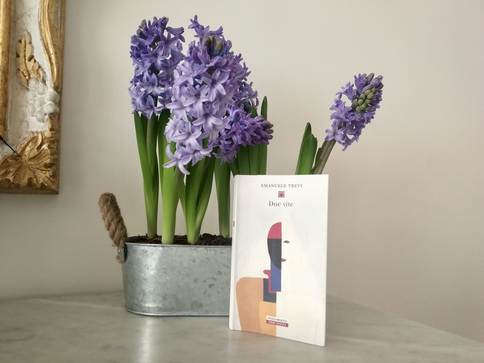 Libro Due Vite, visto di copertina, accanto a vaso di latta con dentro bulbi di giacinto in fiore, foglie verdi e fiori lilla; si scorge anche una cornice gialla e il piano in marmo chiaro.