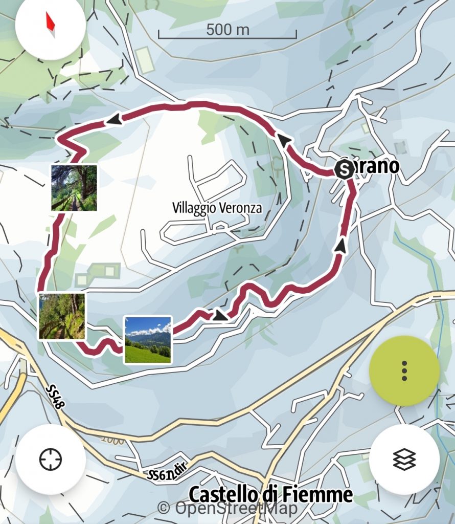 Mappa del percorso della passeggiata dei pini.