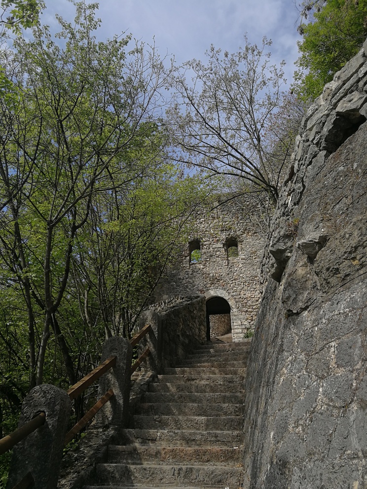 Mura con porta e scalinata in mezzo agli alberi.