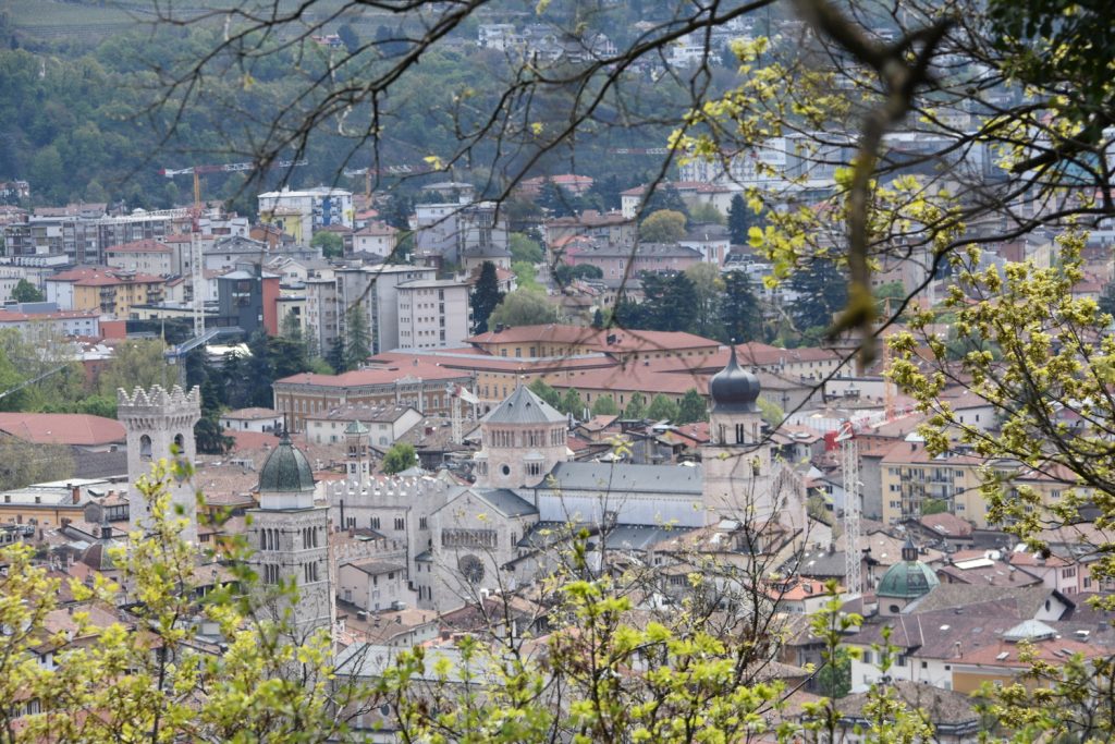 Scorcio tra gli alberi del duomo di Trento.