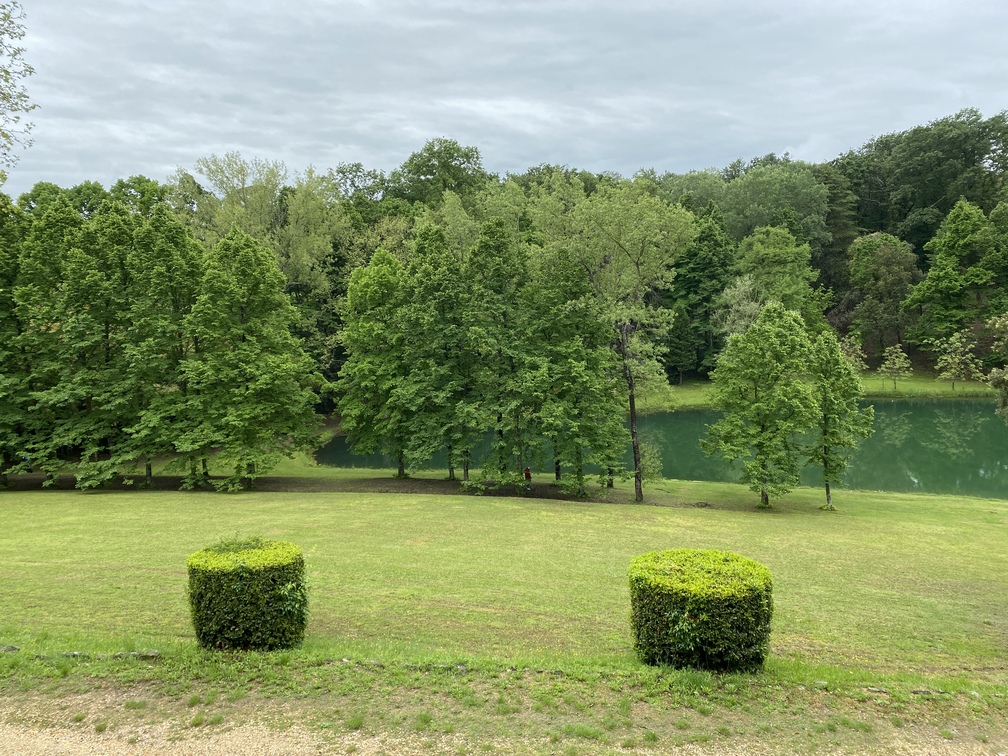 Villa Castelletti - parco con laghetto e tanti alberi affacciati su di esso; molti colori e sfumature di verde. In primo piano siepe tagliata cilindrica.