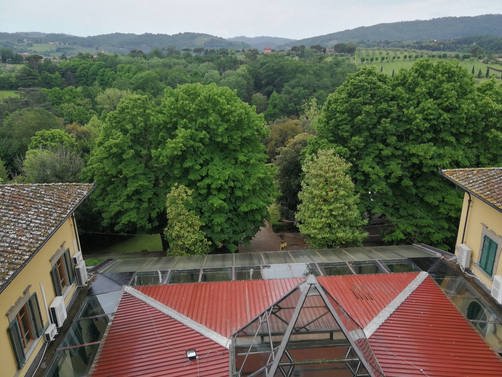 Villa Castelletti - tetto del giardino d'inverno e, oltre, il giardino all'inglese lussureggiante.