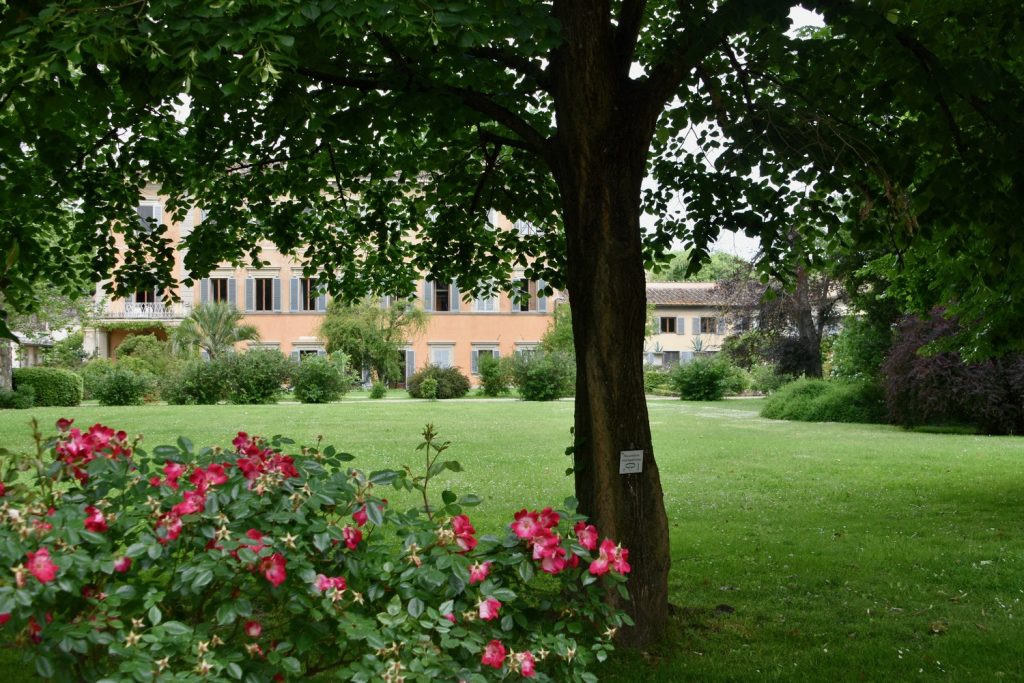 Giardino Torrigiani - fiori in primo piano, alberi e prato.