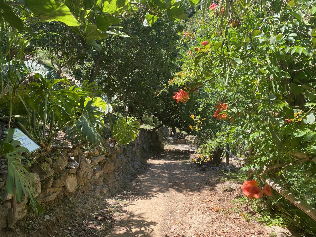 Botanical Park and Gardens - sentiero.