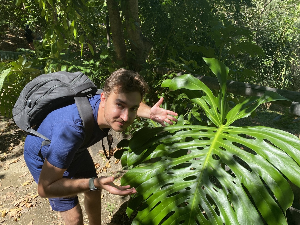 Botanical Park and Gardens - Lorenzo e foglia di Monstera.