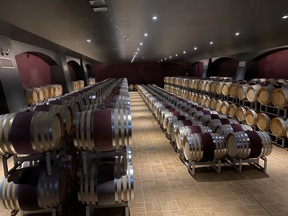 Donna Olimpia - cantina con tante botti di vino.