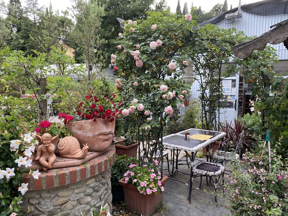 Eden Flower Bistrot - tavoli nel vivaio.