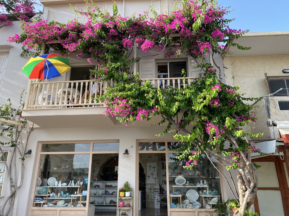 Rethymno - buganvillea in fiore.