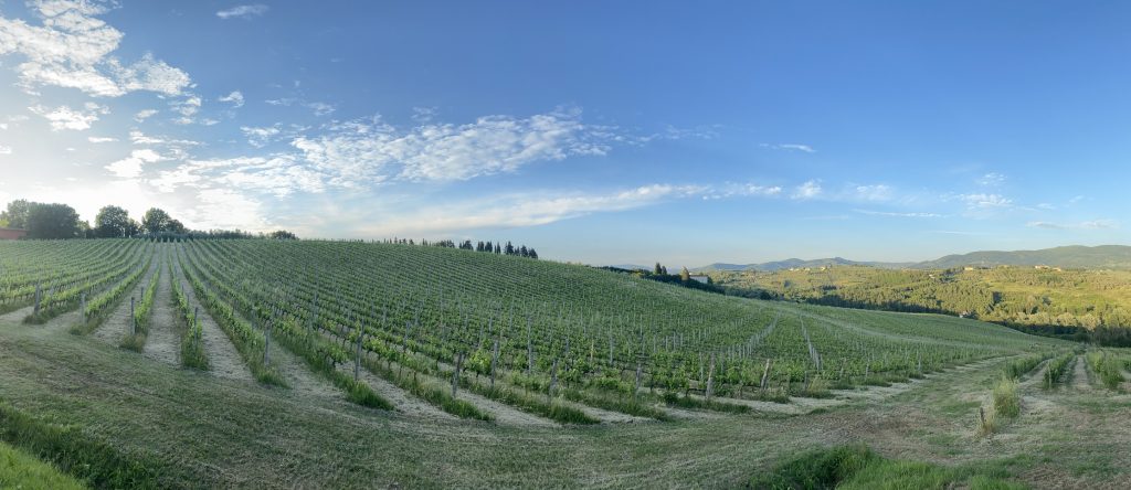 Podere Ema - panorama.