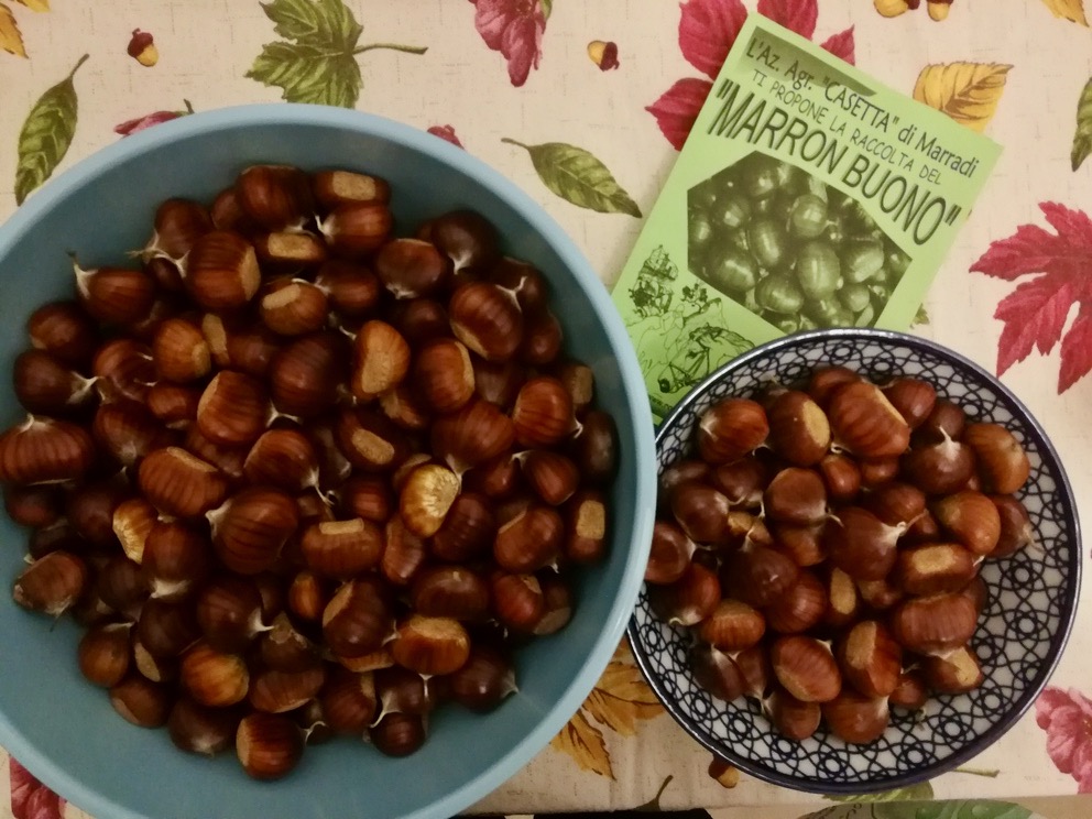 Castagne e marroni raccolti.