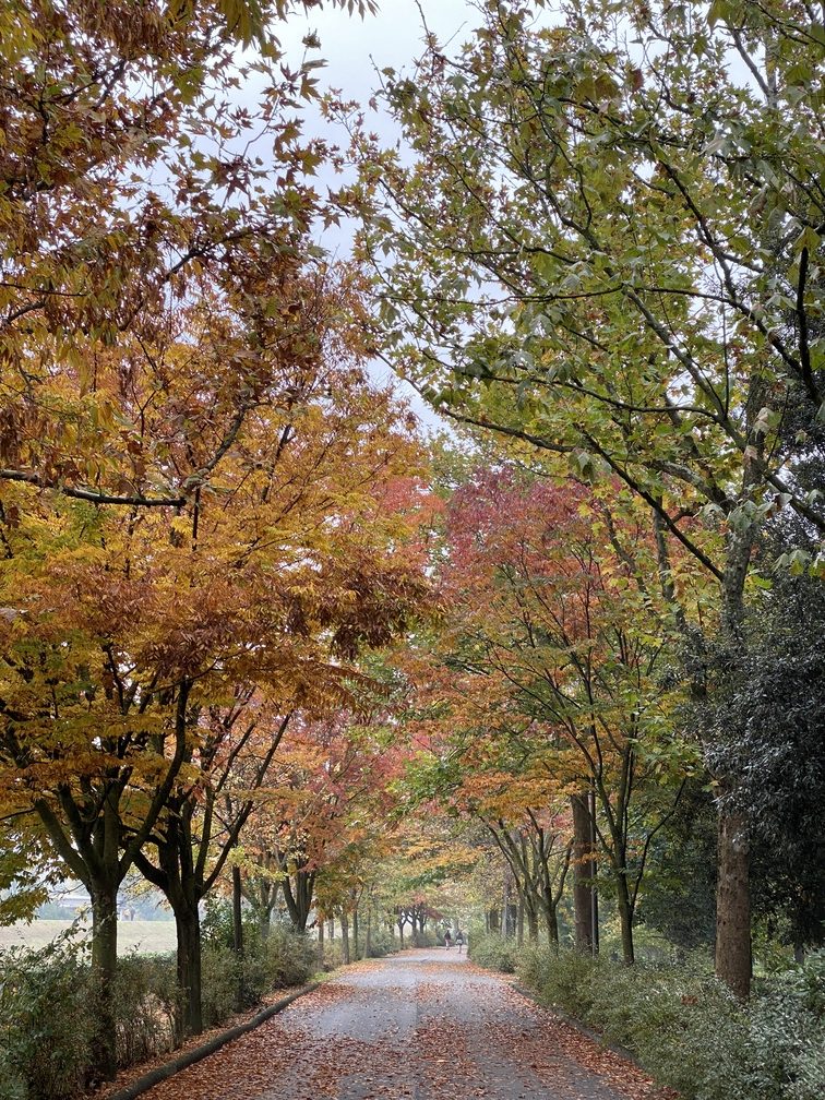 Parco delle Cascine.