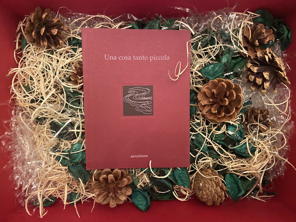 Claude Martingay, Una cosa tanto piccola, Servitium editrice, Bergamo, 2000.