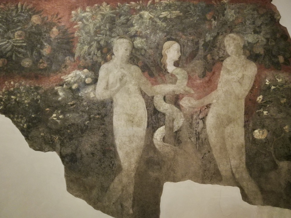 Museo di Santa Maria Novella - affreschi di Paolo Uccello.