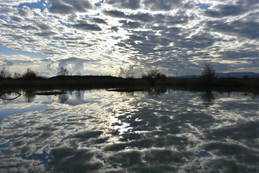 Podere La Querciola.