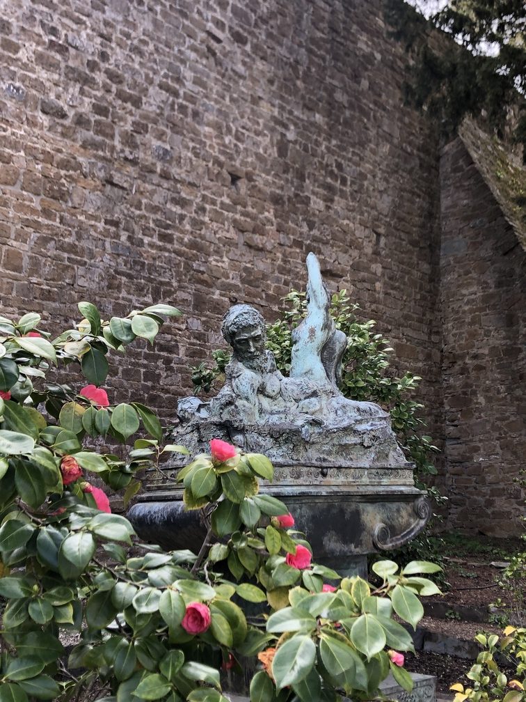 Giardino Bardini - Mura e camelie.