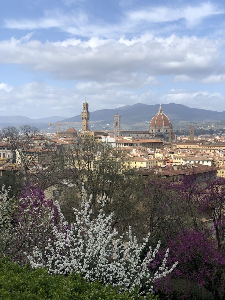 Giardino Bardini - vista sul Duomo e alberi da frutto in fiore.