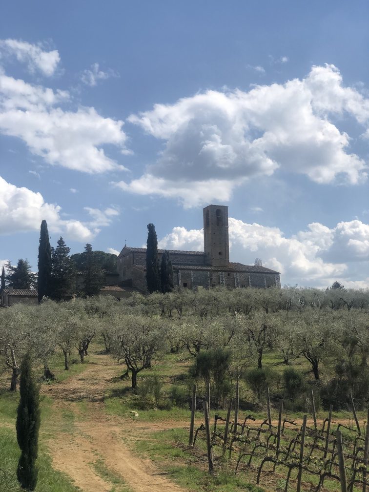 Convento di Monte Oliveto Minore - esterno.