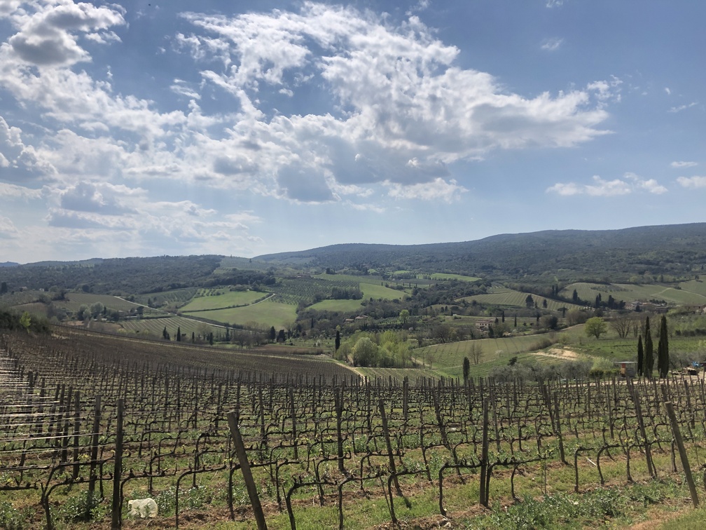 Campagna intorno a San Gimignano.