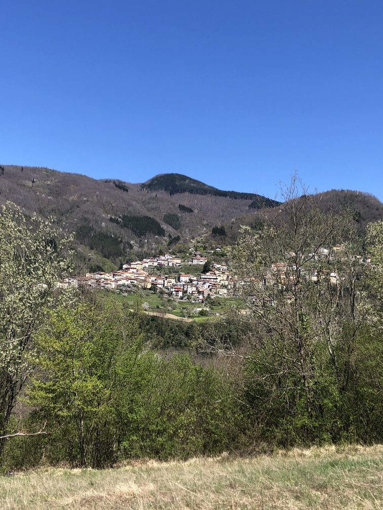 Panorama durante il trekking.