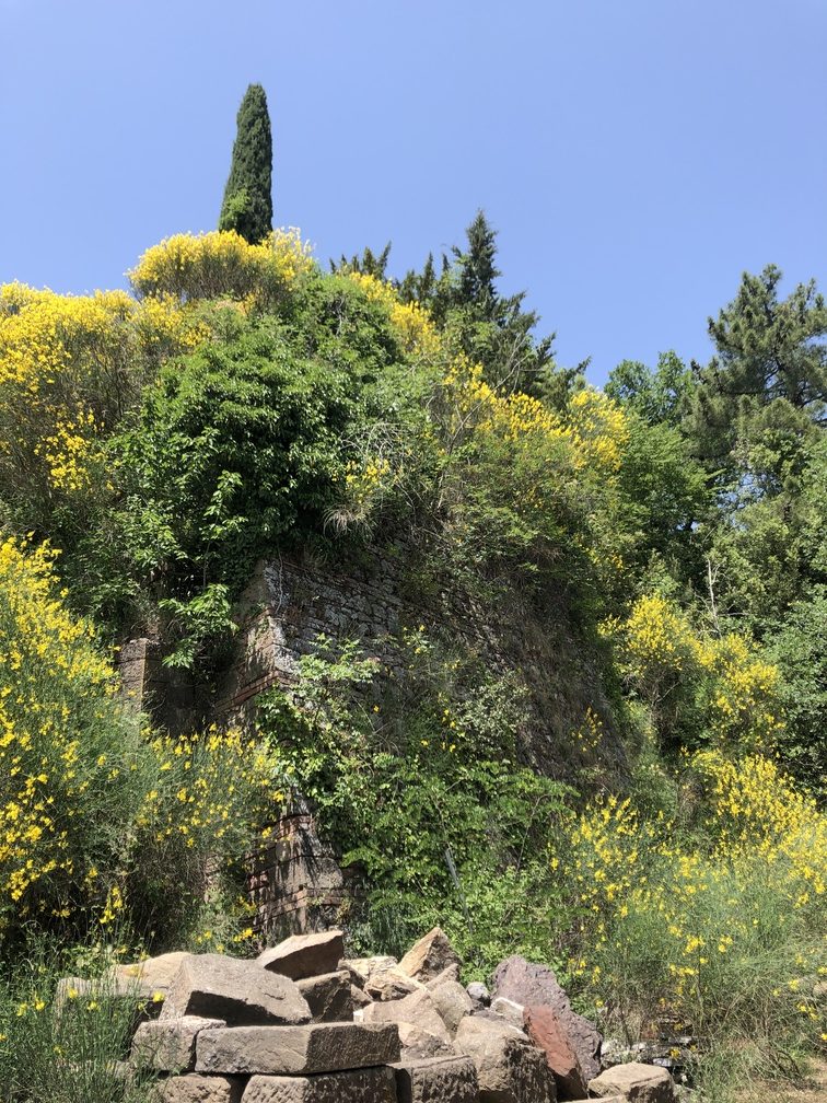 Museo delle Miniere a Montecatini Val di Cecina - Pozzo Luigi.